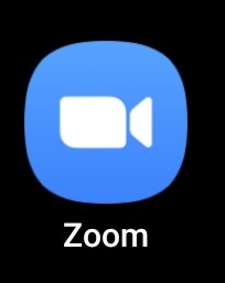 Zoom Logo